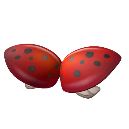 Ladybug Wings