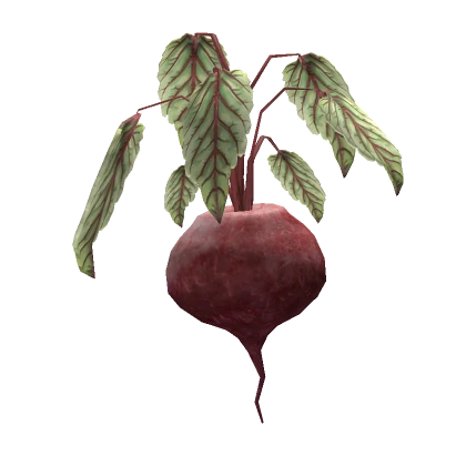 Big Back-Beet