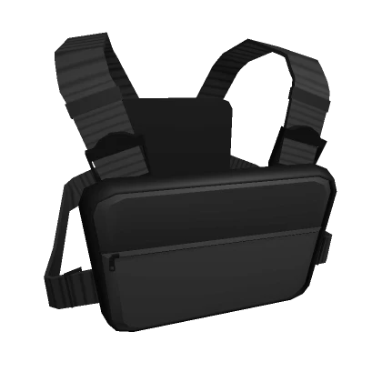 Aesthetic Black Chest Rig (3.0)