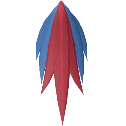 Macaw Tail Feathers