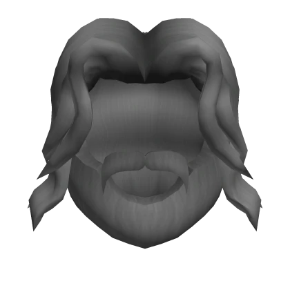 Grey Long Hair & Beard