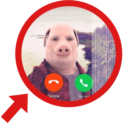 John Pork meme with double face changing effect