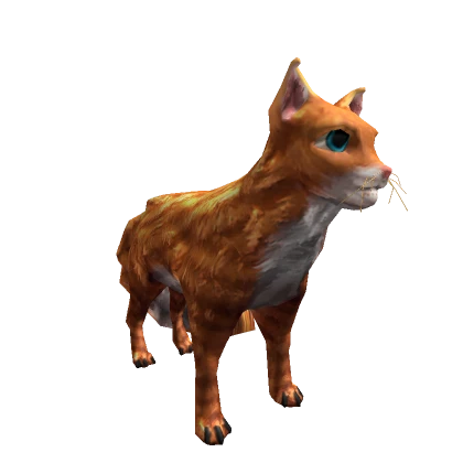 Ginger Cat Pet