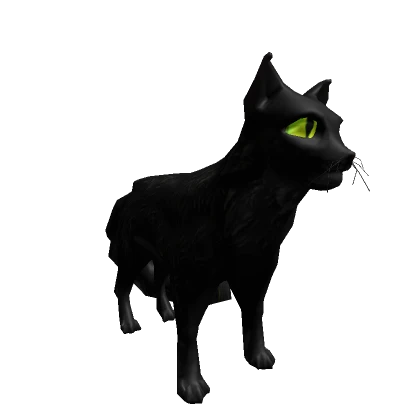 Black Cat Pet