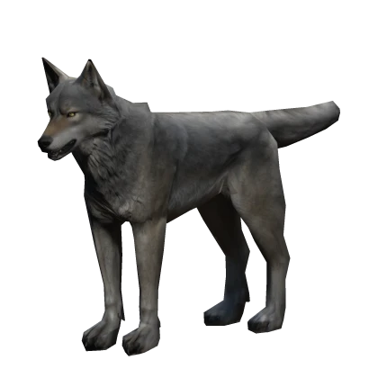 🐺 Wolf