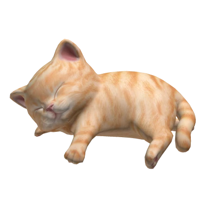 Cute Red Tabby Cat Kitten Sleeping On Head