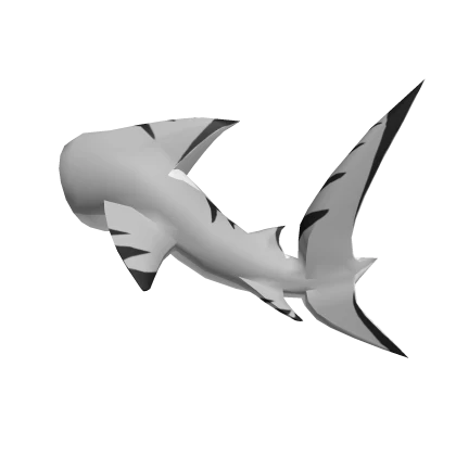 Great White Shark [Tail]