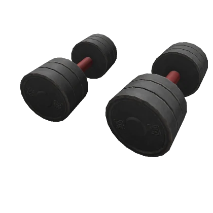 50 KG Dumbbells