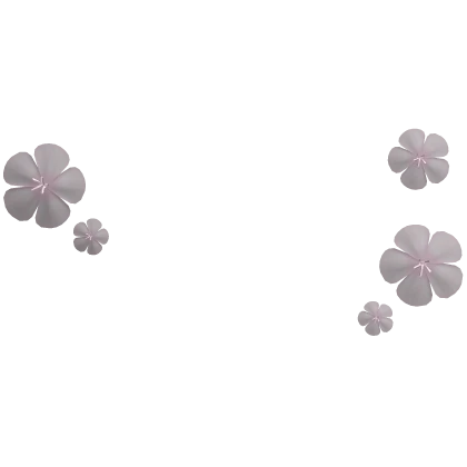 pink sakura floating flowers
