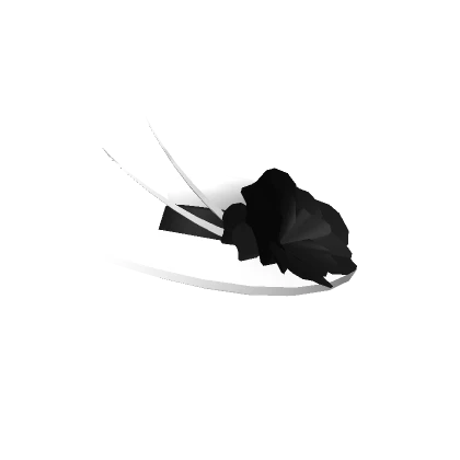 White and Black Derby