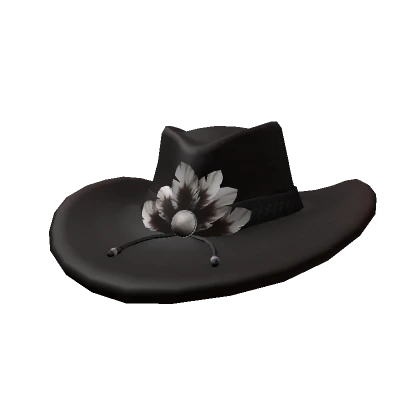 Stylish Cowboy Hat