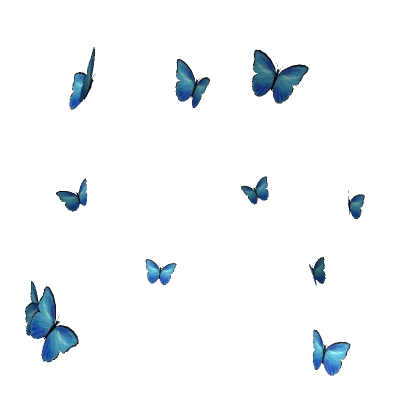 Blue Butterflies