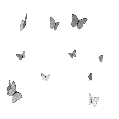 White Butterflies