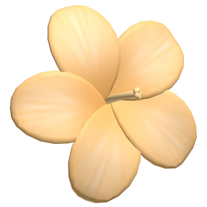 ♡ orange summer hibiscus flower