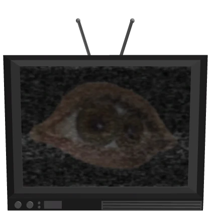 The Staring TV (Weirdcore)