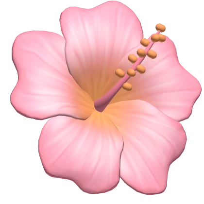 summer tropical flower