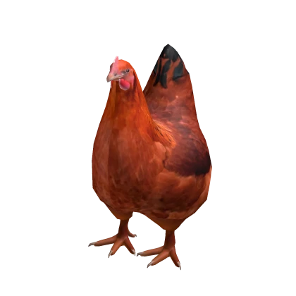 Chicken Suit