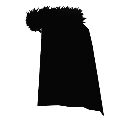 Black Fur Cape