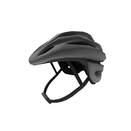 Pro Cycling Helmet (Silver Glint)