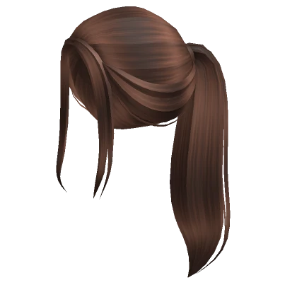 Aesthetic brown ponytail