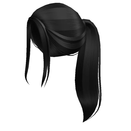 Aesthetic black ponytail