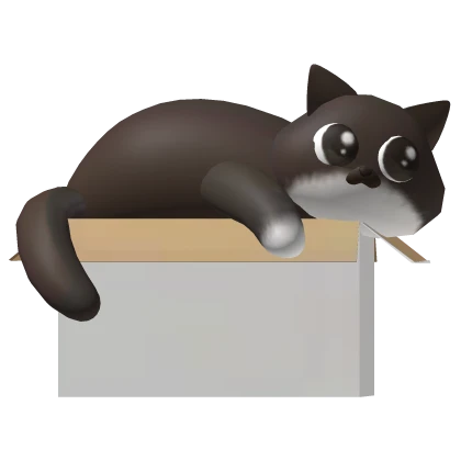 ୨★୧cute brown cat with kawaii eyes in a white box 