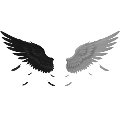 Animated Half Black Half White Wings