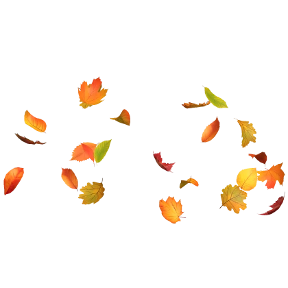 Falling Autumn Leaves