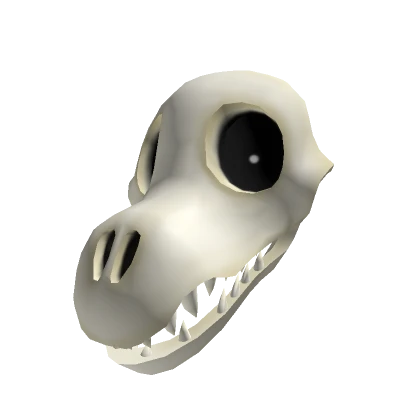 Dog Skull