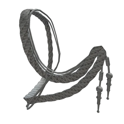🚨 Silver Aiguillettes
