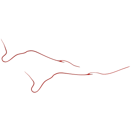 Kagami Zone
