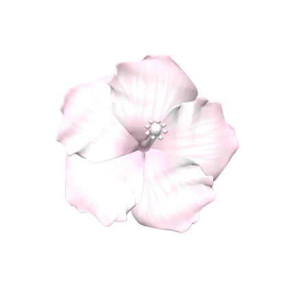 Tropical Summer hibiscus flower - Light pink