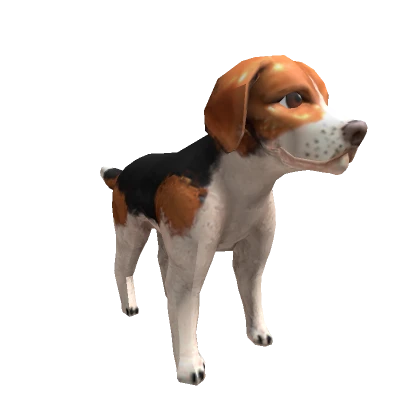 Beagle Shoulder Pet