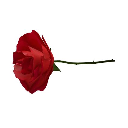 Red Rose 🌹 Holdable In Mouth Plant Flower