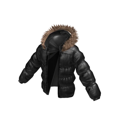 Black Puffer Jacket w/ Fur