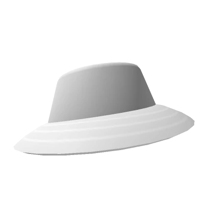 Basic Brimmed Hat