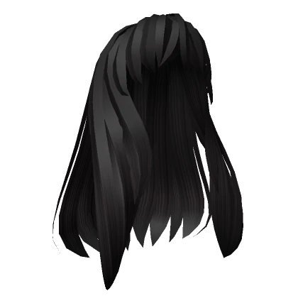 Long Black Anime Hair