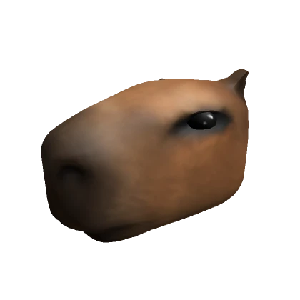 Capybara Head