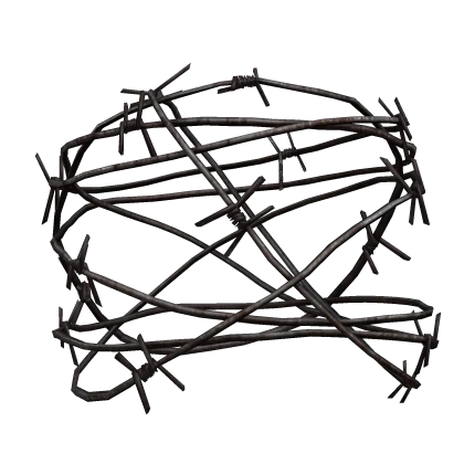 Rusty Barbed Wire Around Head