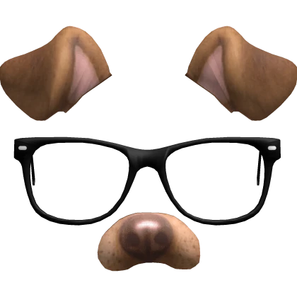 Dog filter with glasses
