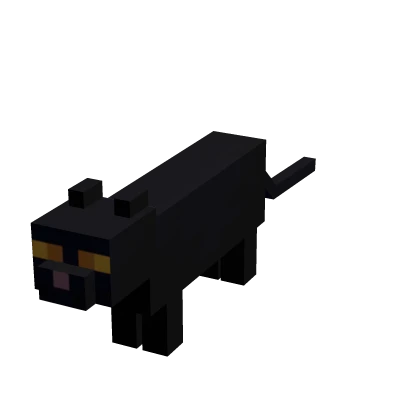  Mini Black Cat