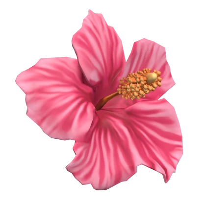 Pink Summer Tropical Hibiscus Flower