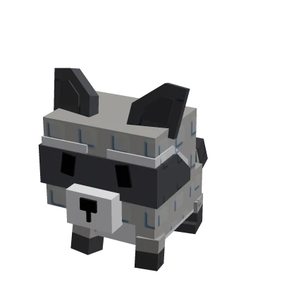 Raccoon Suit