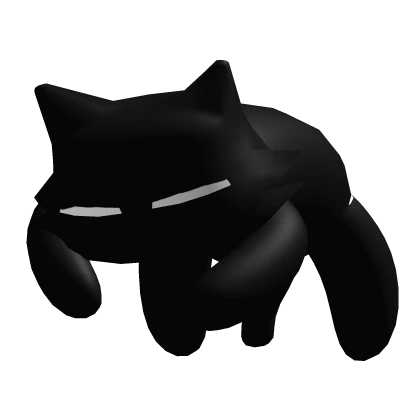 Cat on the head sleeping Black