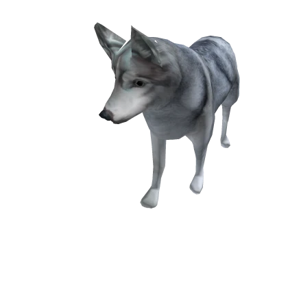 Wolf Pet Accessory