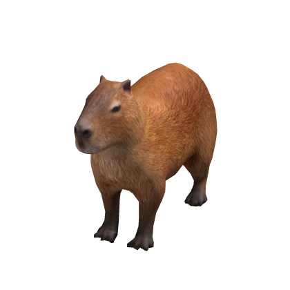 Mini Capybara Suit