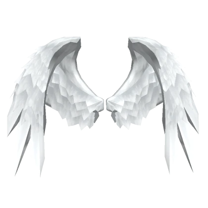 Divine Angel Wings