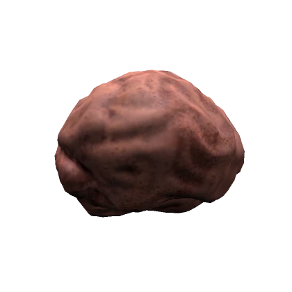 Brain (For headless)