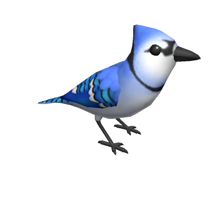 Blue Jay