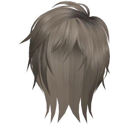 Messy Vkei Ash Dyed Hairstyle